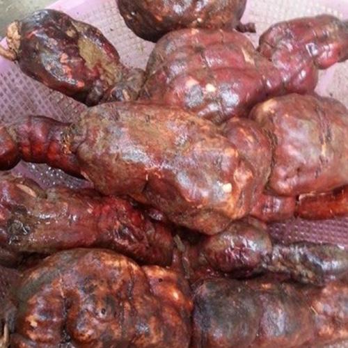 Hà thủ ô khô - 1kg