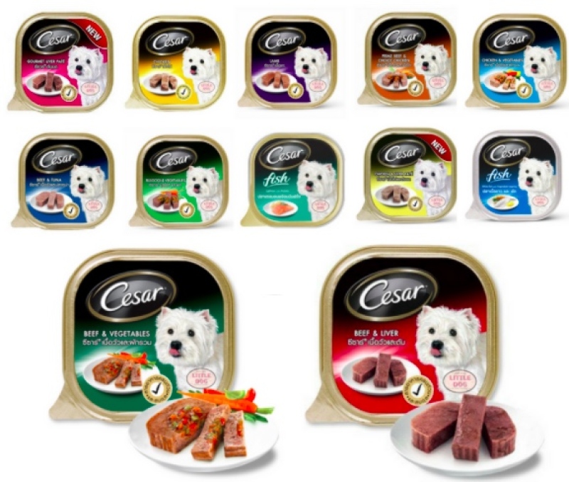Pate chó CESAR hộp 100G Thức ăn ướt