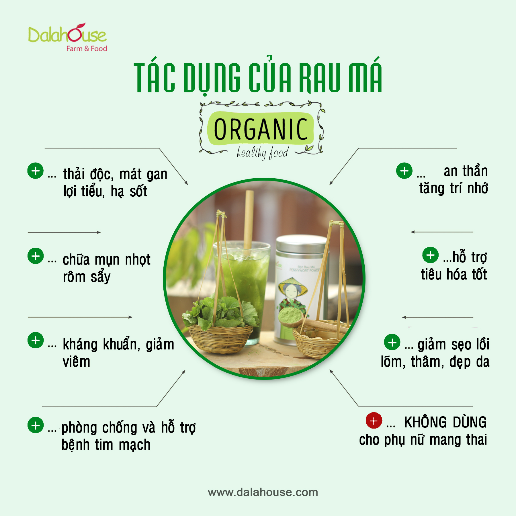 Bột Rau Má Hữu Cơ DalaHouse Hộp 150 gram ( 100% Natural Pennywort Powder)