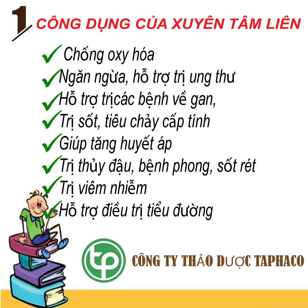 Bột xuyên tâm liên 100g