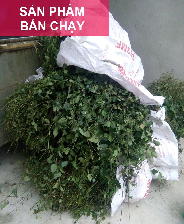 [HCM]Chè vằng lợi sữa