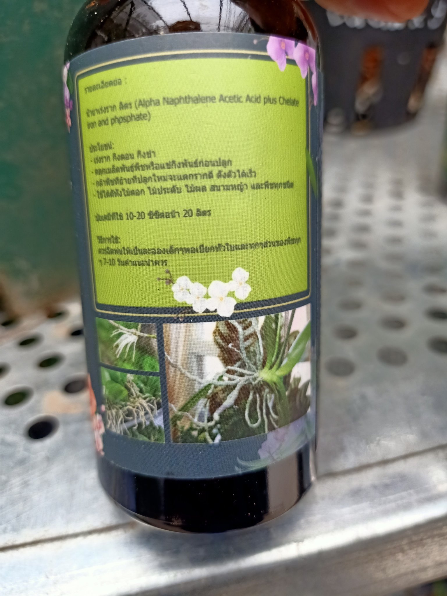Kích rễ thái Exotic chai 100ml
