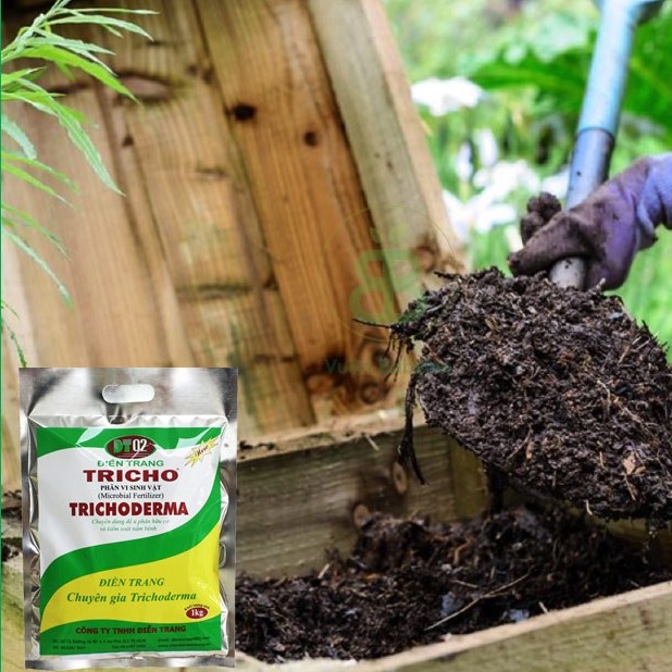 [Ưu Đãi] Vi sinh vật cải tạo đất Trichoderma ĐT (1kg/bịch)