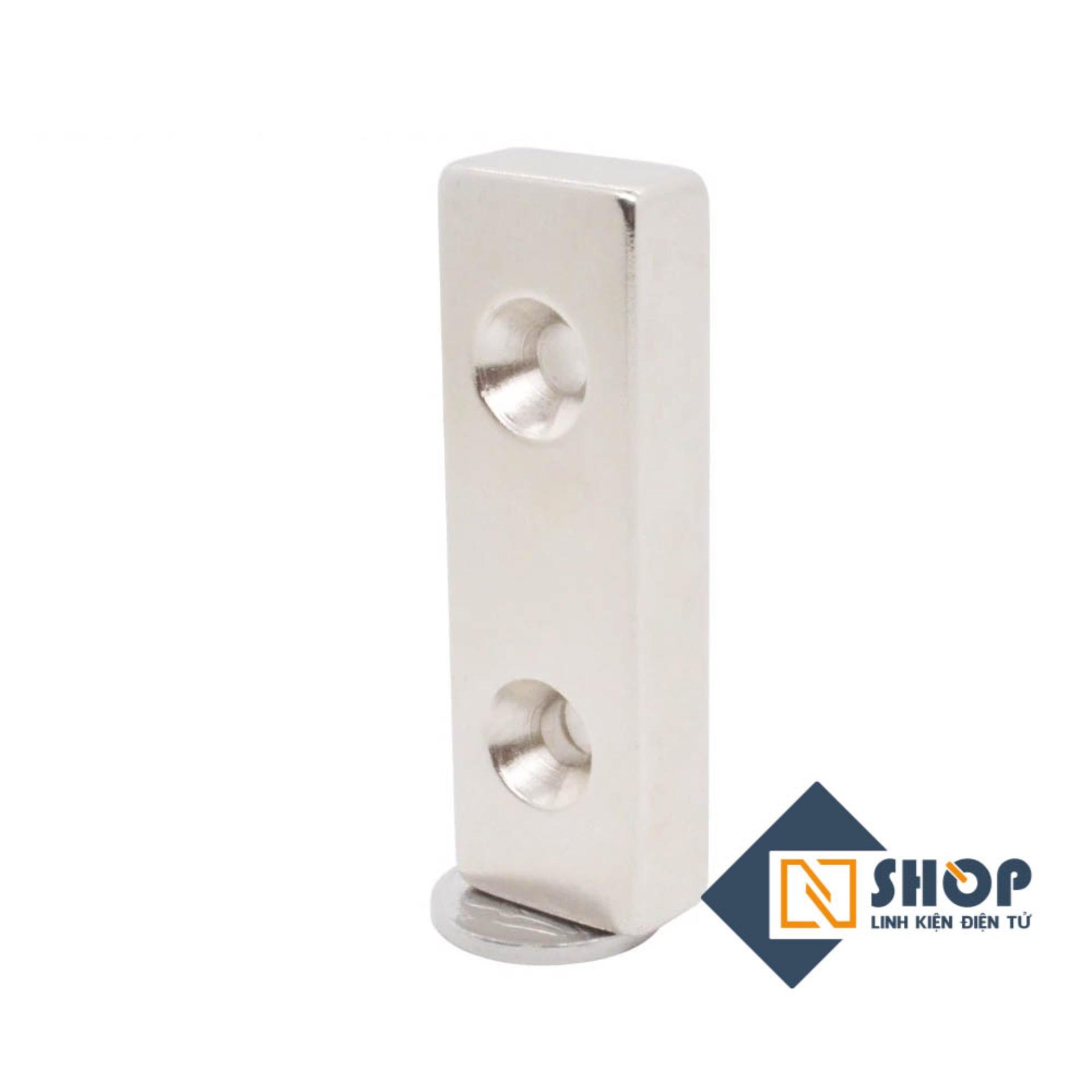 Nam Châm Đất Hiếm 2 lỗ 30x10x5