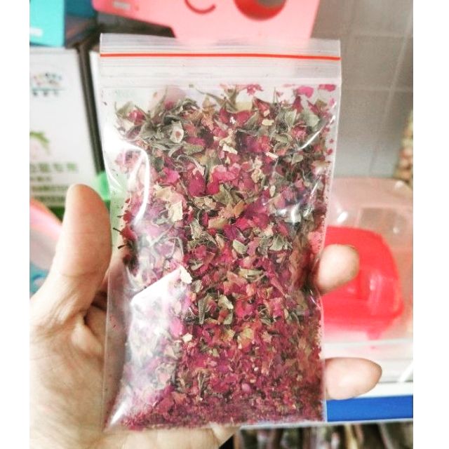 Hoa Hồng Mẫu Đơn Cho Hamster