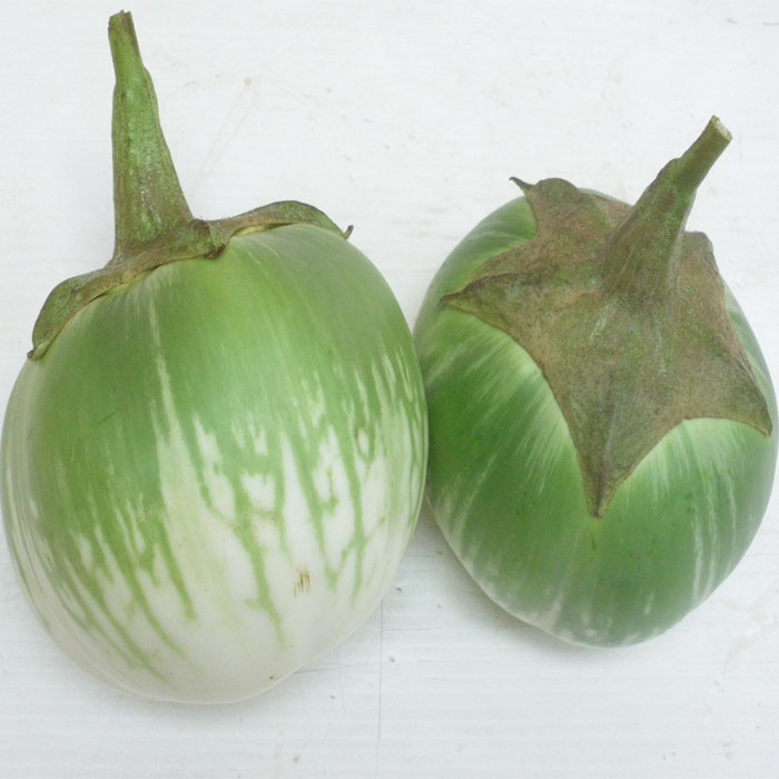 Hạt giống cà dĩa cao sản giống ngắn ngày quả to ngọt PVS17| Phởms Market