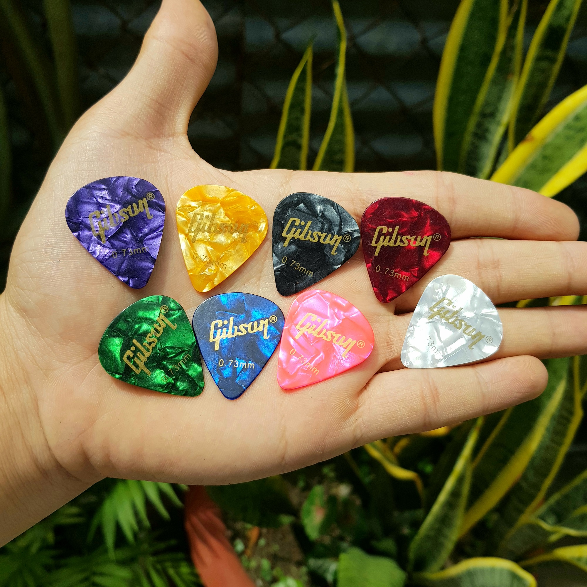 | Pick Fender & Gibson 0.71mm | Pick gảy - phím gảy Fender & Gibson