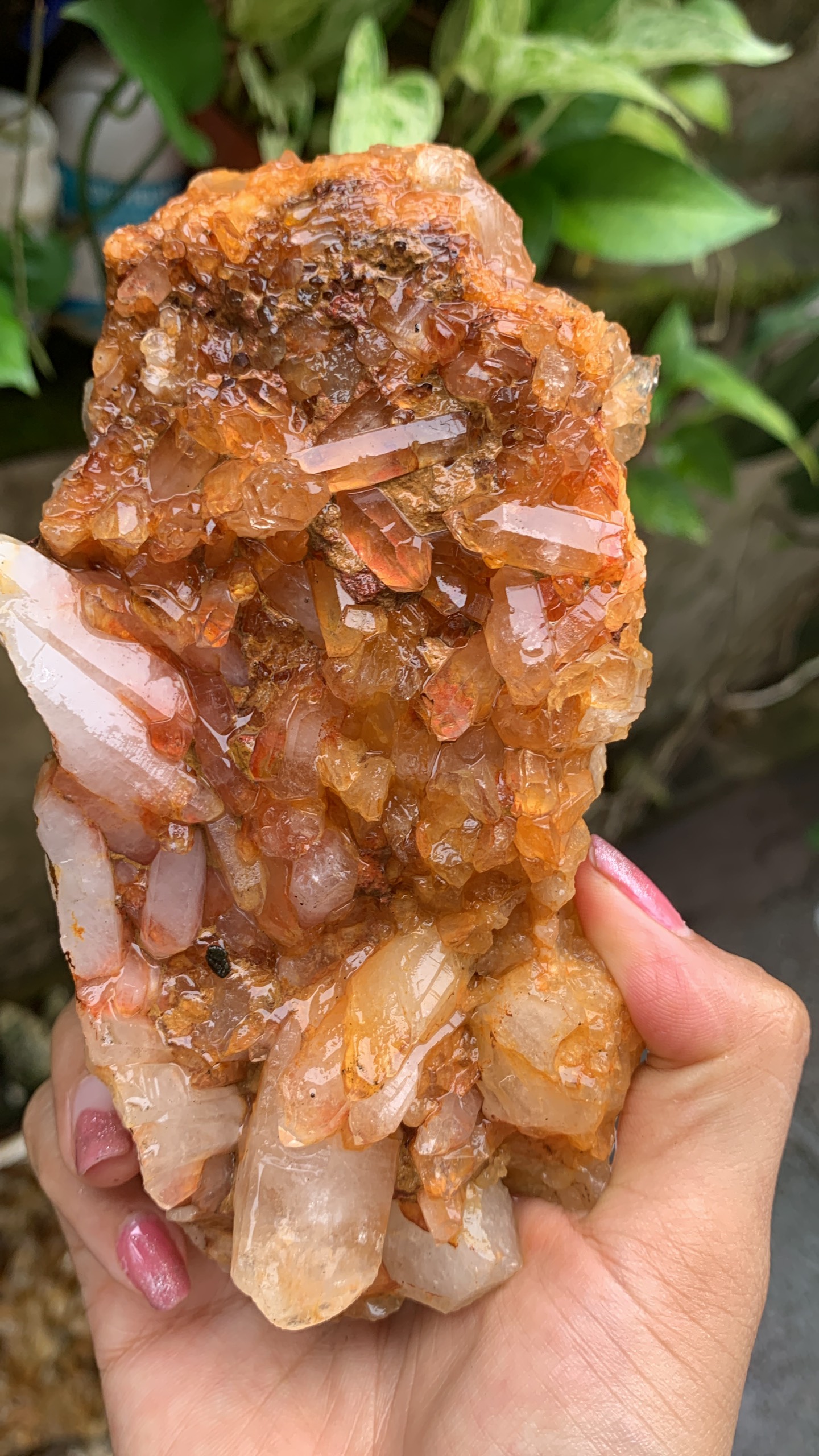 Ổ đá thạch anh vàng cam tự nhiên sưu tầm 8