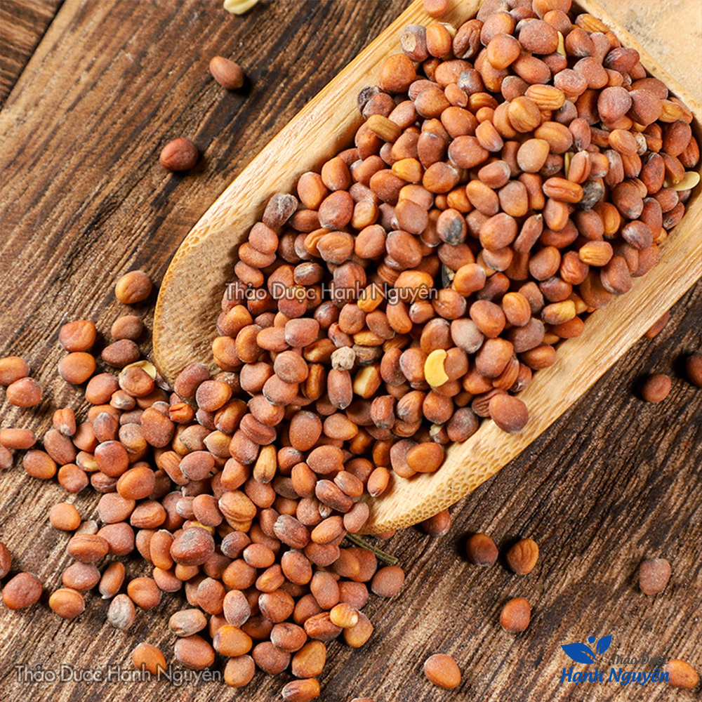 La bạc tử 100g (Lai phục tử, giảm đàm ho, hen suyễn) - Thảo dược hạnh nguyên