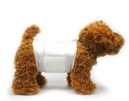 Bịch bỉm gồm 12 miếng cho chó đực Pet Soft