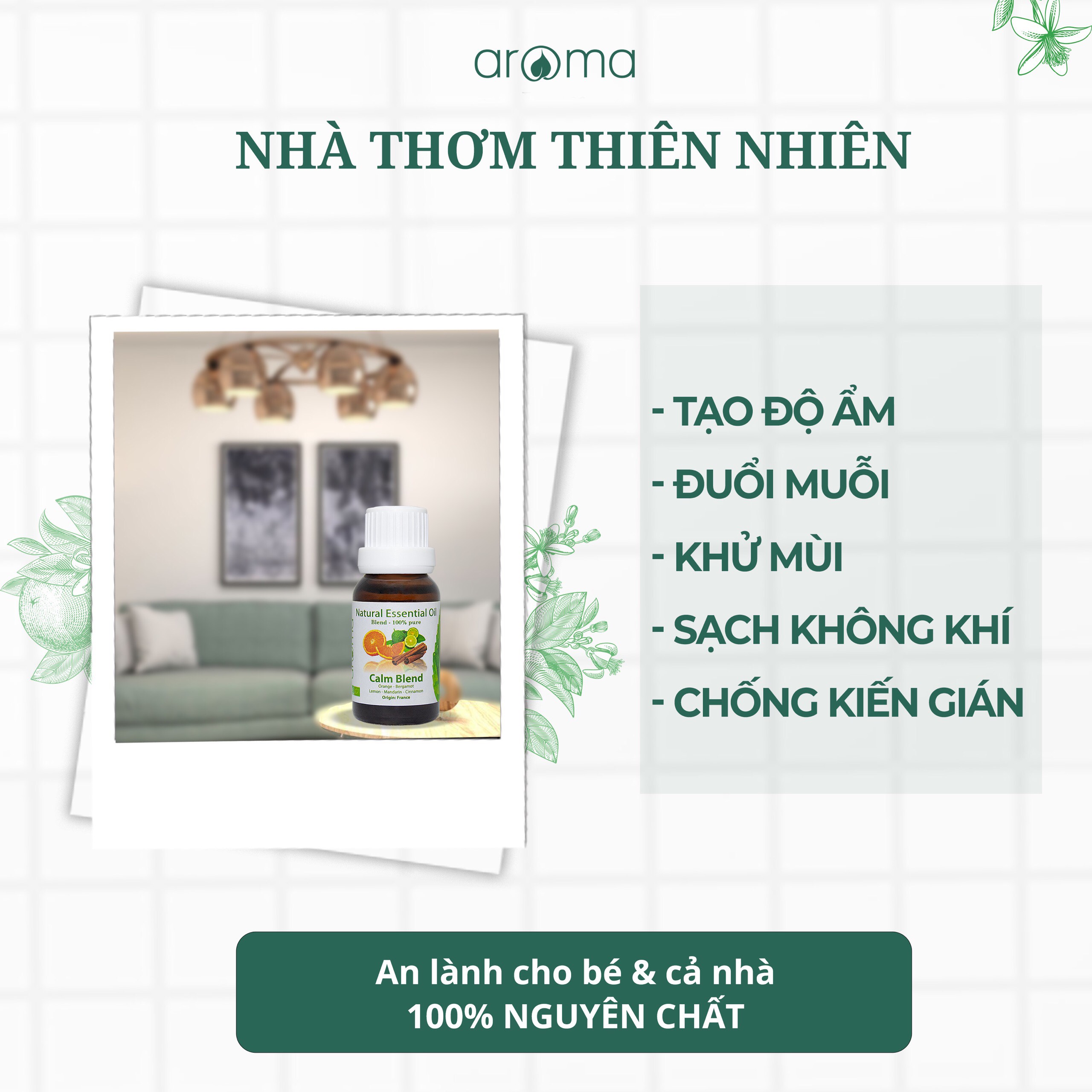 Hương trái cây Aroma Dứa thơm - 10ml/30ml