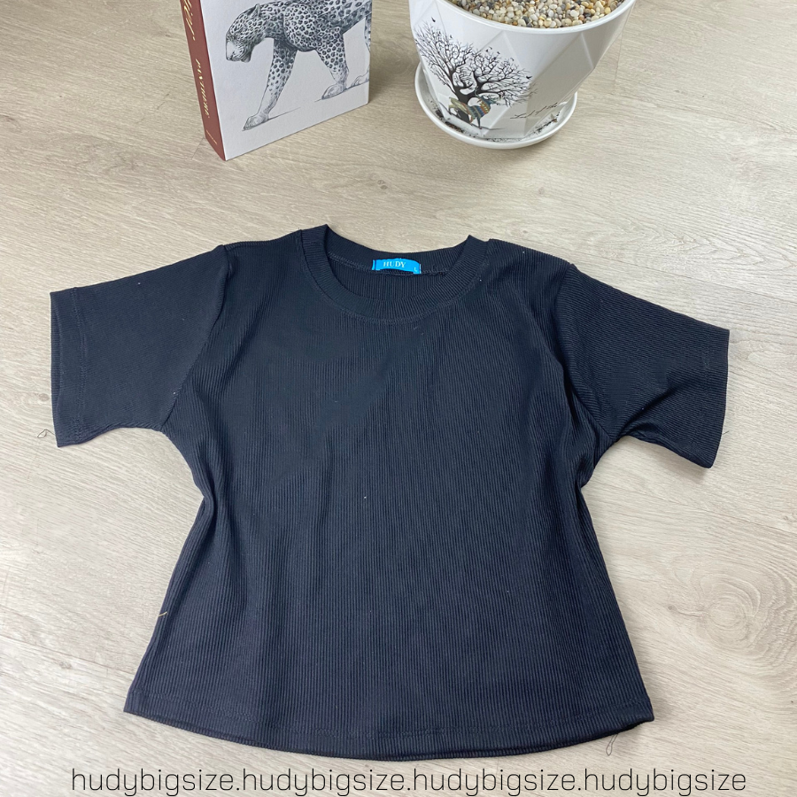 BIGSIZE ( 60-80KG) - ÁO CROPTOP THUN GÂN CỔ TRÒN BASIC