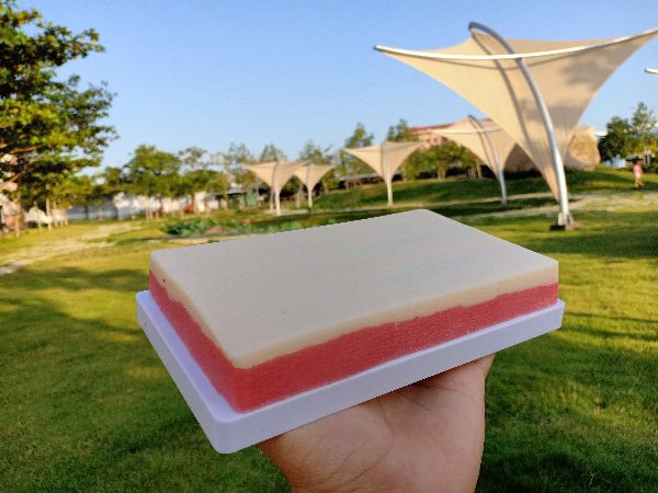 MÔ HÌNH DA luyện tập Tiêm truyền dịch Y TẾ