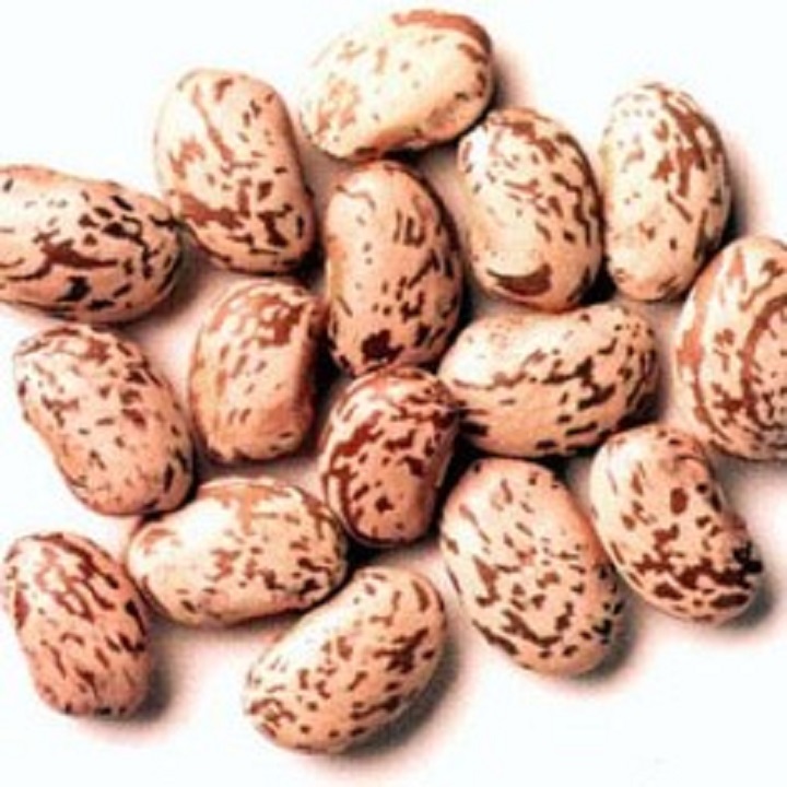 500G ĐẬU CÚC PINTO BÒ ĐỘI NÓN