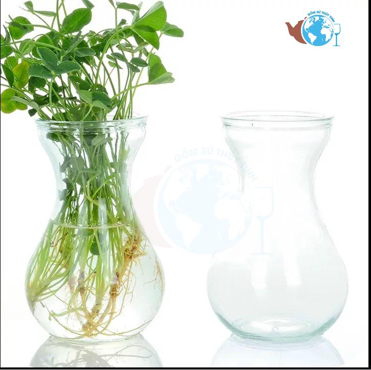 [HCM]Combo 6 Bình Bông Lọ Hoa Thủy Tinh Miệng Loe - Lọ Tiên Ông + TẶNG kèm sơ dừa trang trí