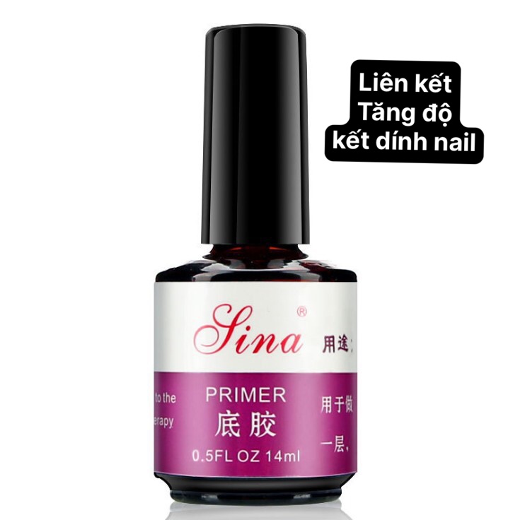 Sơn Base Top Coat Sina 037