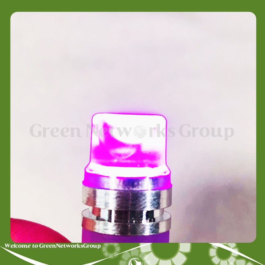 Đèn xi nhan 7 màu chân T10 Greennetworks ( 1 Cặp )