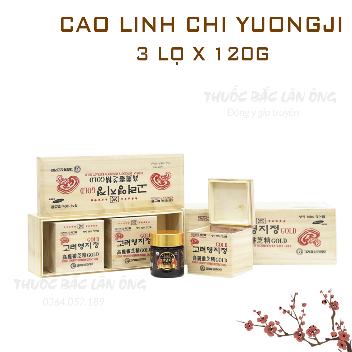 Cao linh chi hàn quốc youngji