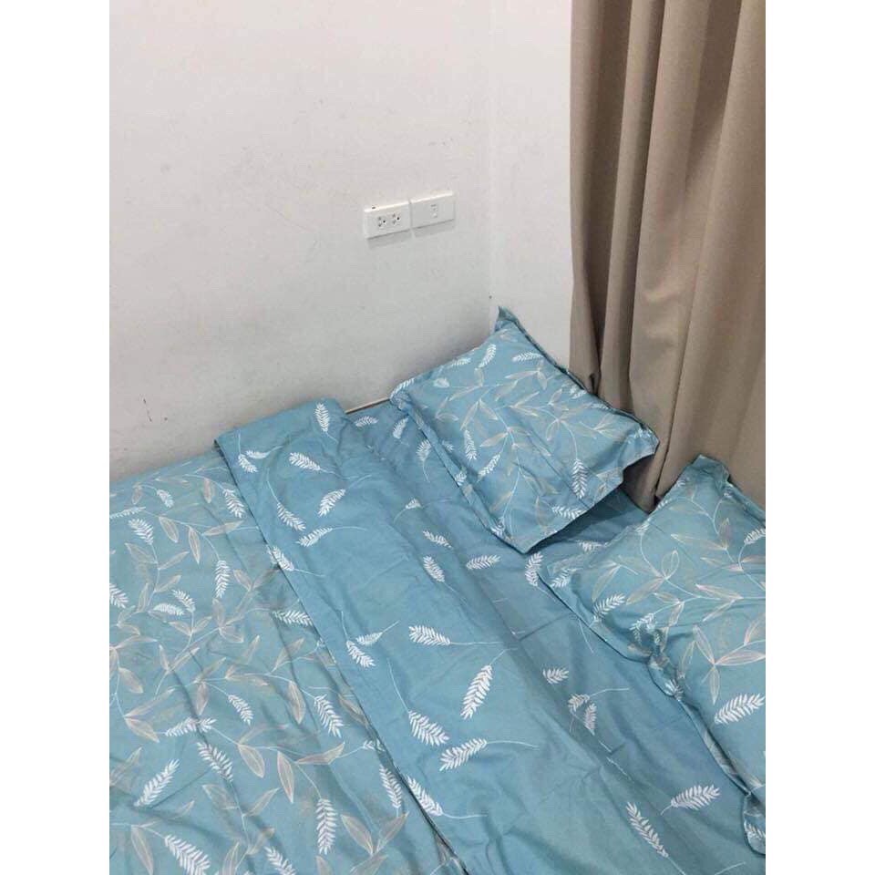 Bộ ga cotton 4 món Hàn Quốc