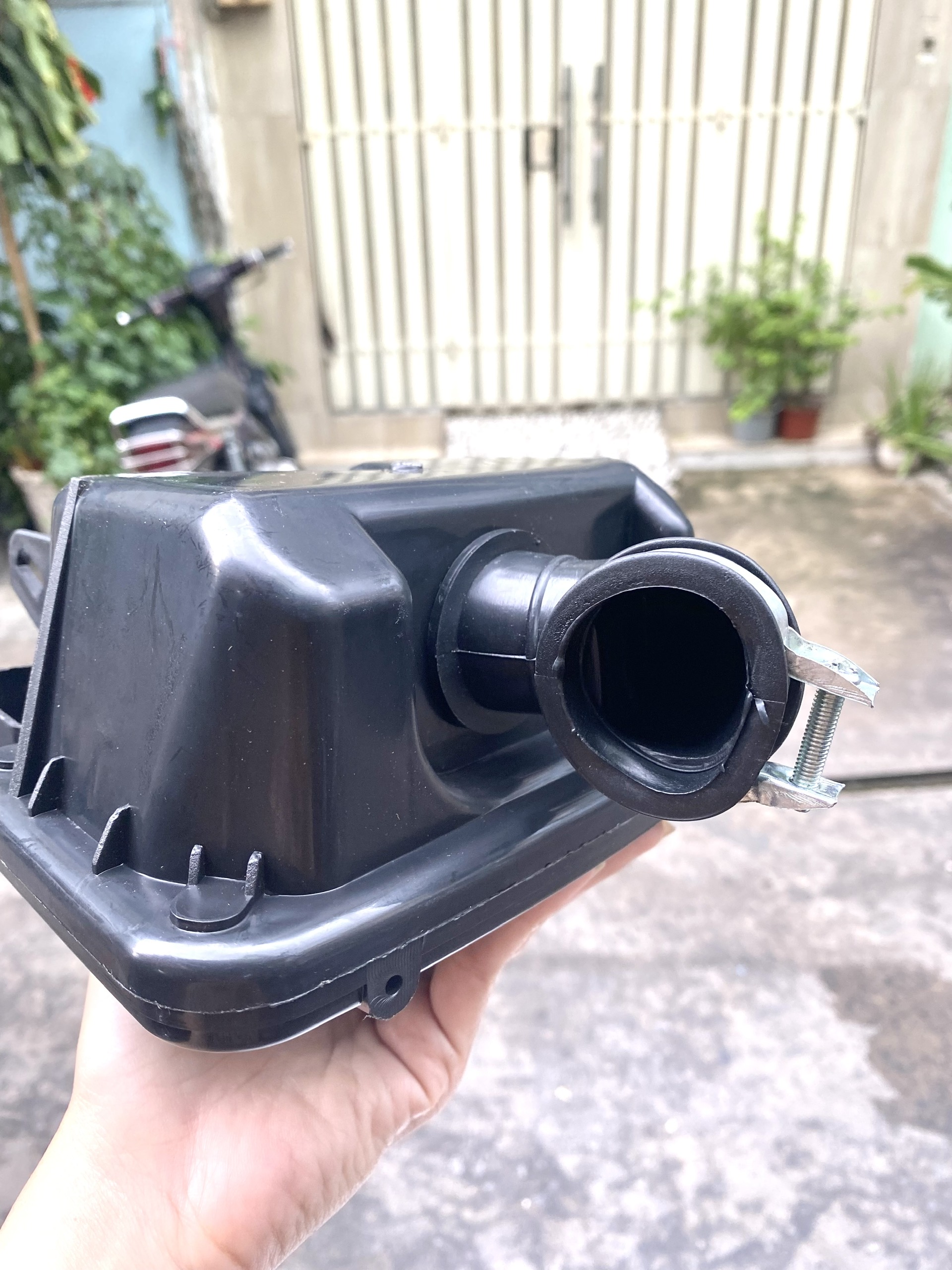 PÔ E ( BAO TỬ ) WAVE RS ( TRUNG QUỐC )