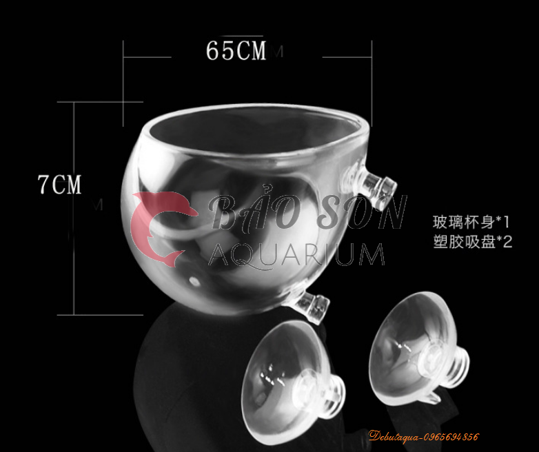 CỐC TRỒNG CÂY THỦY SINH (Chất Liệu Thủy Tinh)