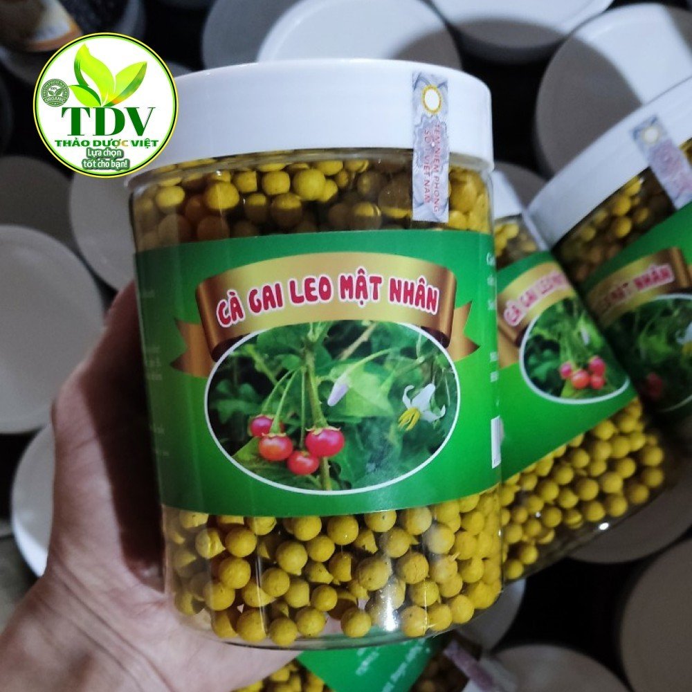 1kg Cây Cà gai leo khô giúp giải độc gan rất tốt - Hàng công Thảo Dược Việt