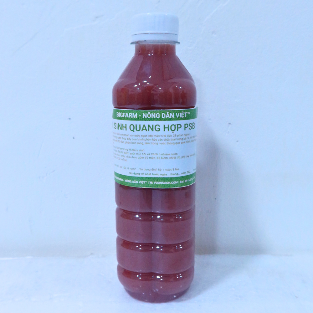 Vi sinh quang hợp PSB Bigfarm men vi sinh hồ kính giúp là trong nước