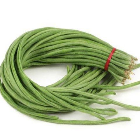 10 gram hạt giống đậu đũa f1 năng suất cao