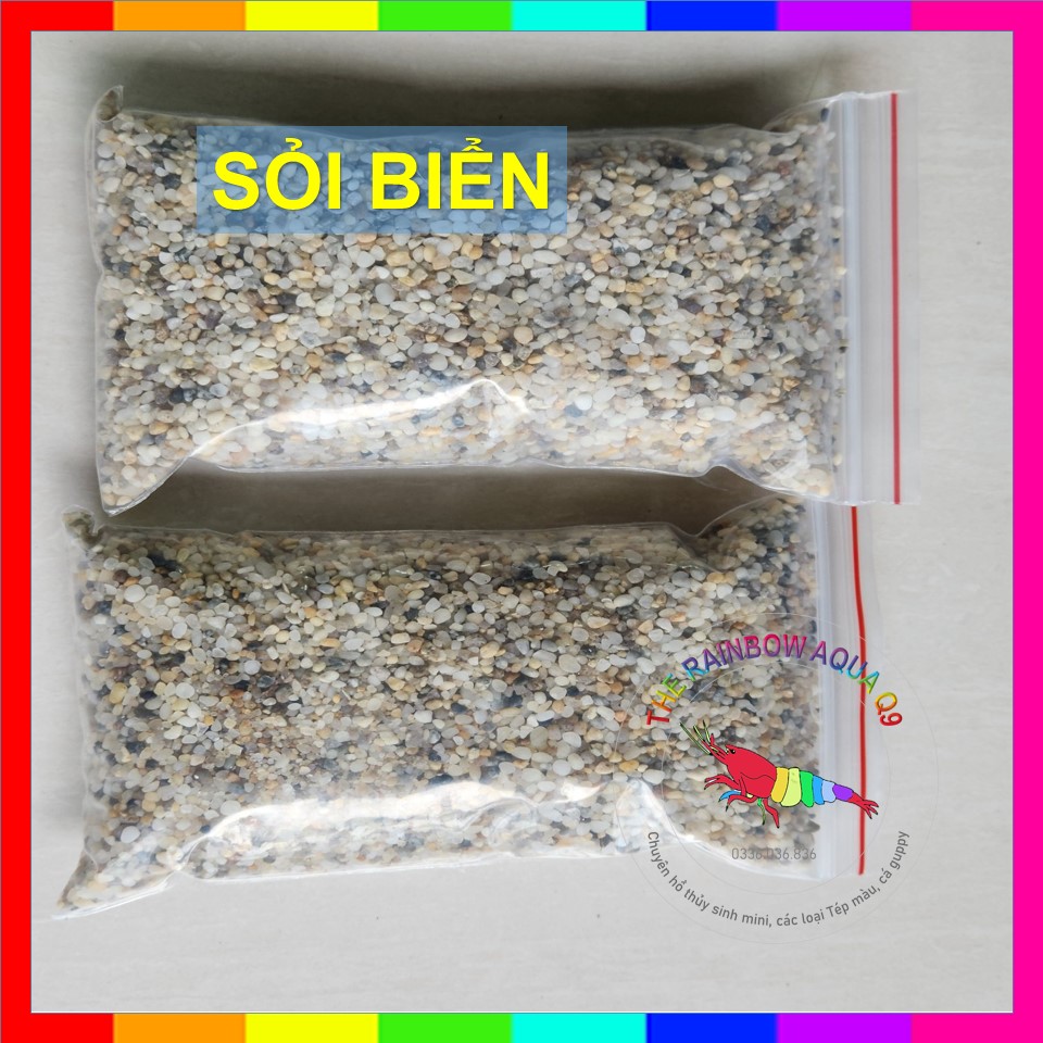 Sỏi biển trang trí hồ cá thủy sinh (500g)