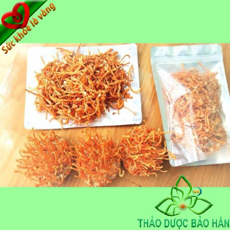 Combo 500g ĐÔNG TRÙNG HẠ THẢO KHÔ