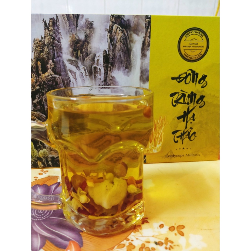 Trà đông trùng ngũ vị thượng hạng
