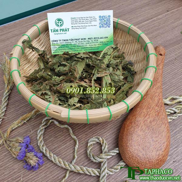 Lá đu đủ cao cấp khô 500g - Trà ngon hỗ trợ ổn định khả năng hô hấp và hoạt động của cơ htể