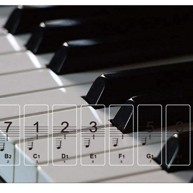 Miếng dán decal cho Piano 52 phím