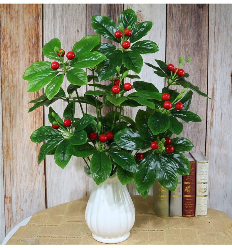Cây quả sơ ri cao 70cm chưa chậu