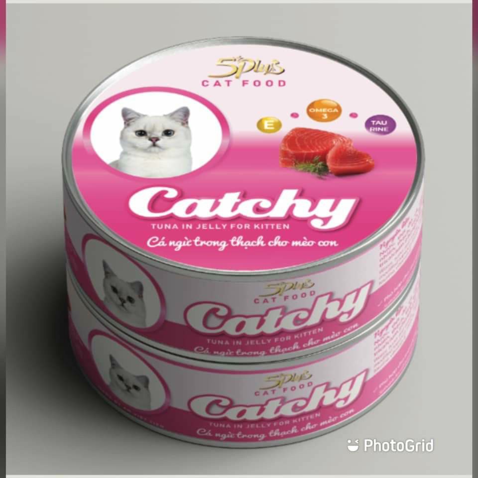 Pate mèo Catchy 5Plus dạng lon 170gram - CThanhpetshop