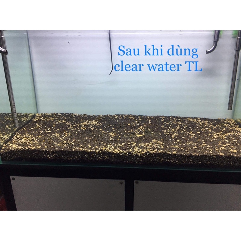 Clear Water ( làm trong nước siêu tốc - an toàn ) cho hồ cá, thuỷ sinh chính hãng
