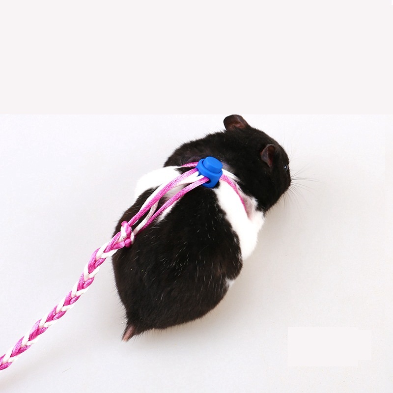 Dây giữ dắt Hamster Bọ Ú Sóc Thú Nhỏ có chuông