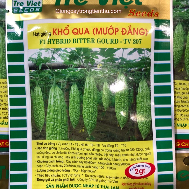 HẠT GIỐNG KHỔ QUA (MƯỚP ĐẮNG) F1 TV207- 2gr
