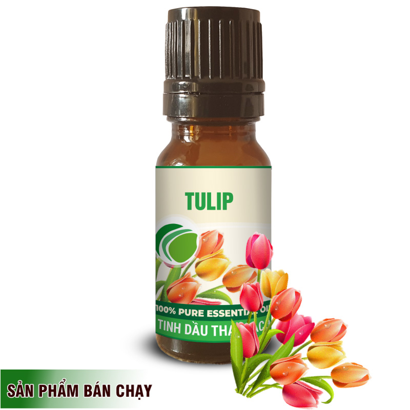 Tinh Dầu Tulip 10ml Thơm Mát Nguyên Chất Thaphaco