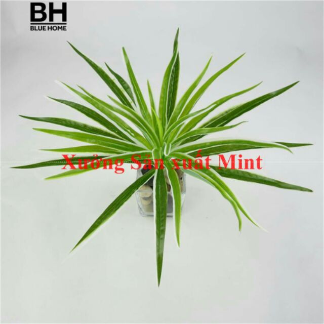 Cỏ mỹ bụi trang trí - Cây cỏ giả