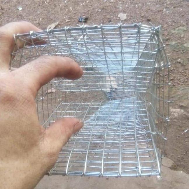 lồng bẫy rắn dài 75cm (dây rút)