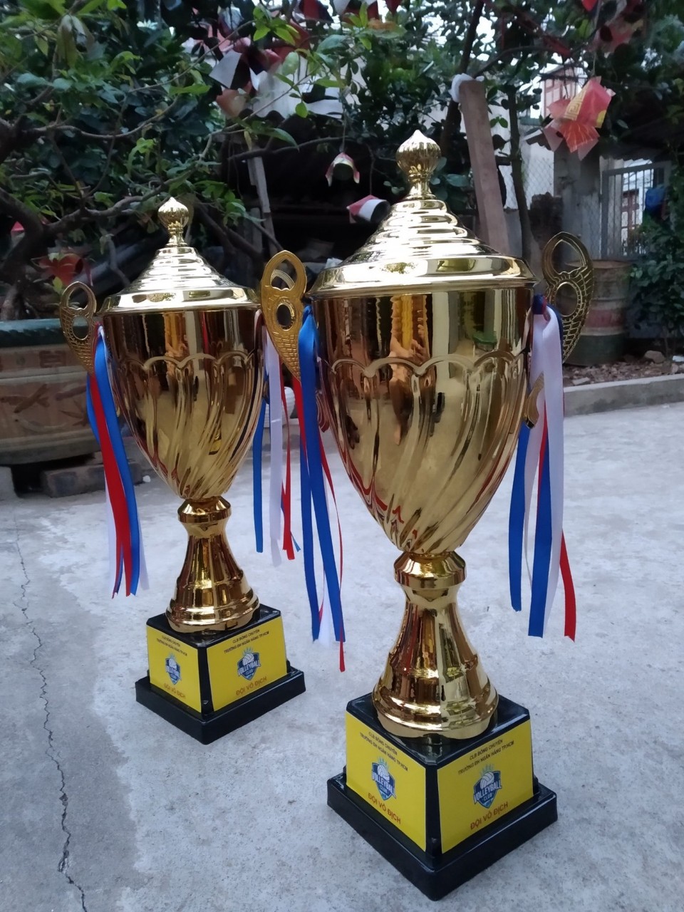 Cúp Bàn Tay Vàng