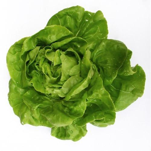 Gói 2g hạt giống xà lách búp