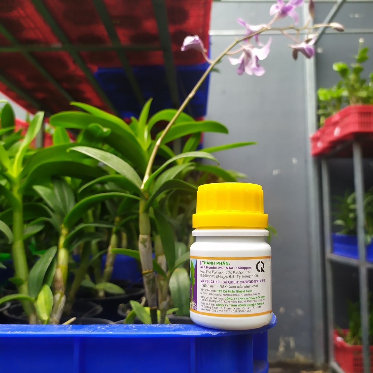 Mập Thân - Dày Lá - Vọt Đọt VK Humat 50g