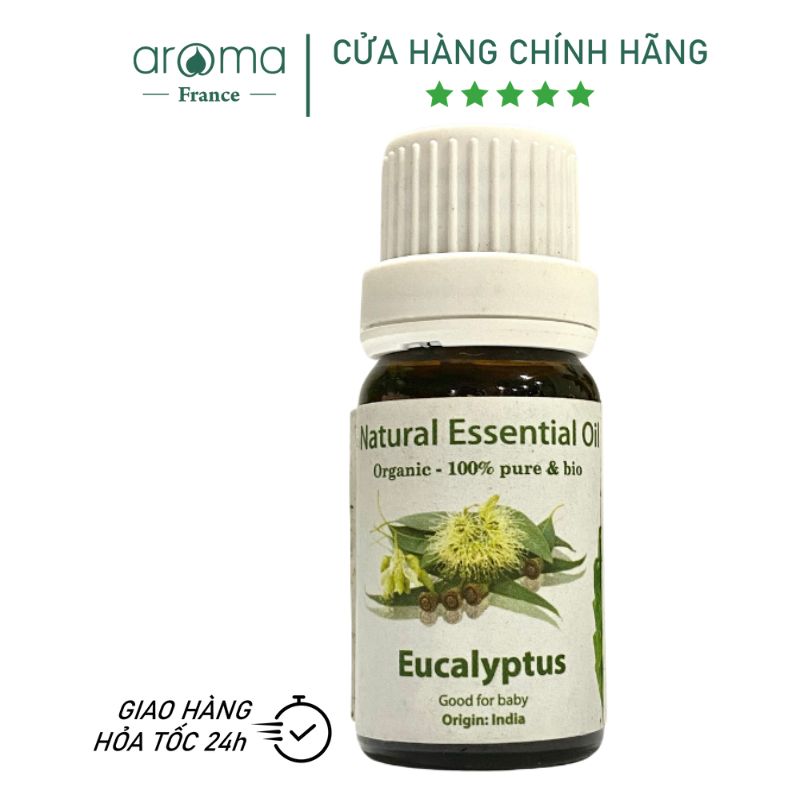 Tinh Dầu Aroma Khuynh Diệp Nguyên Chất  Eucalyptus - 10ml/15ml/30ml/50ml