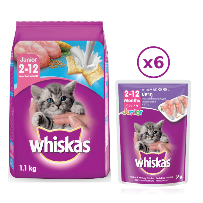 Bộ thức ăn cho mèo con dạng hạt Whiskas vị cá biển 1.1kg + 6 túi pate cho mèo con Whiskas vị cá thu 85g/túi