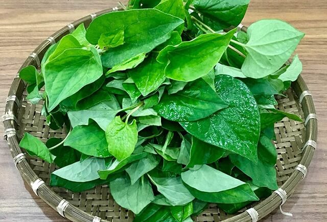 Bột diếp cá (100gr)