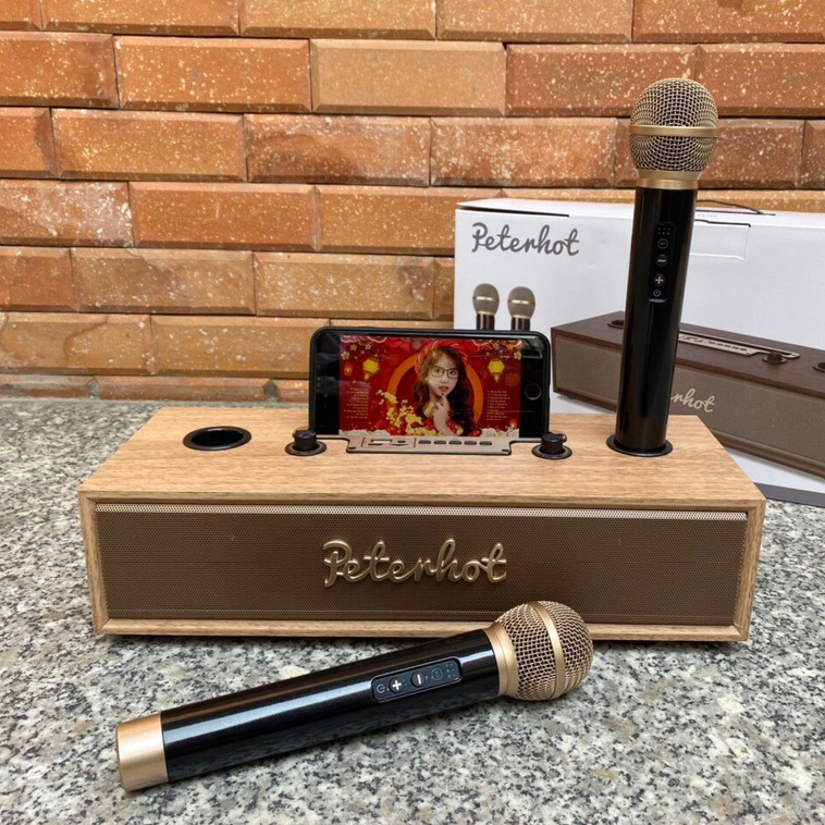 Loa karaoke bluetooth peterhot a100 công suất 20w âm thanh nổi 360 tặng kèm 2 míc