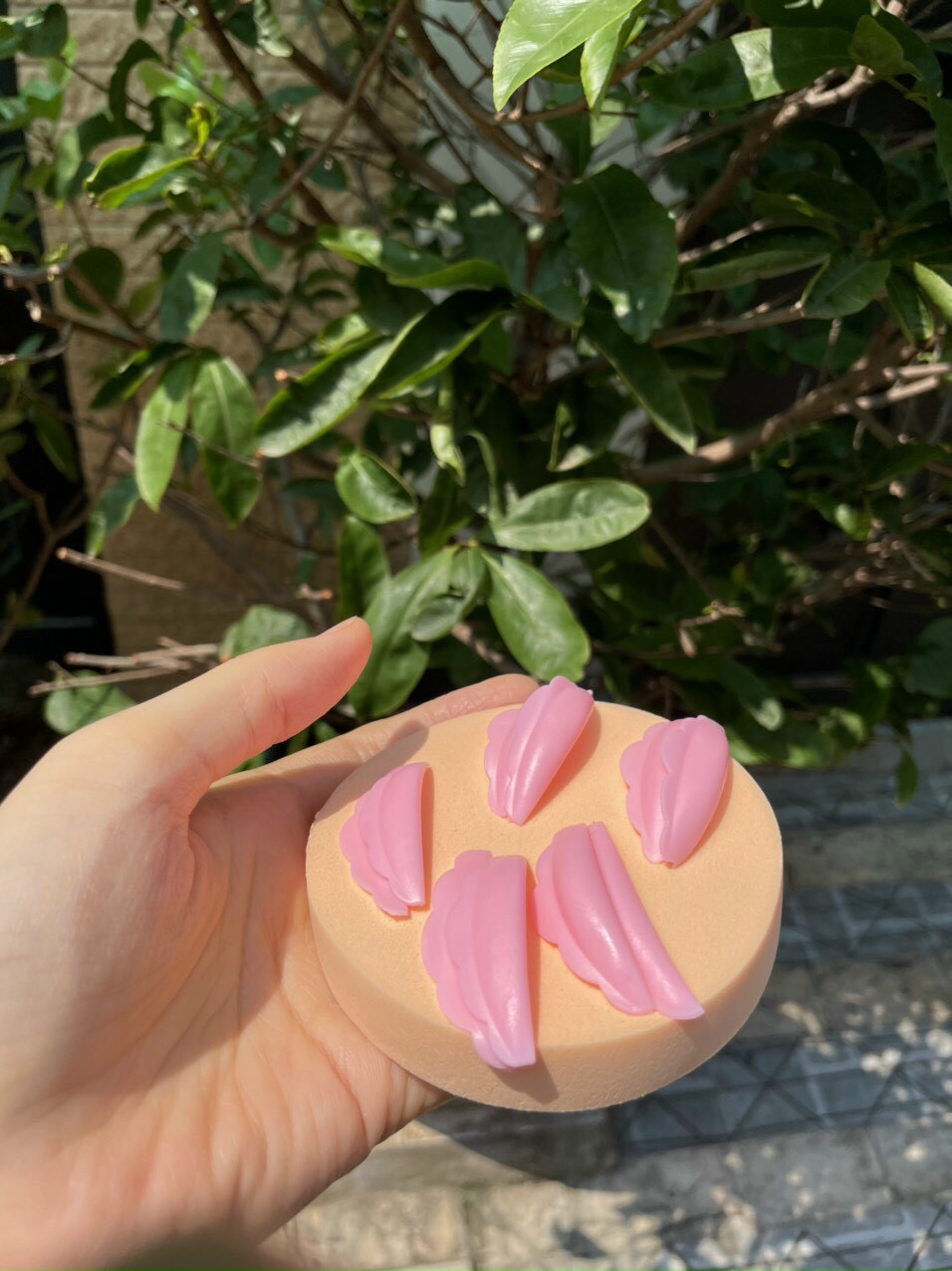 Bộ trục silicon uốn mi collagen 6D trắng, hồng
