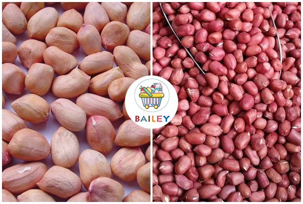 Lạc (đậu phộng) đỏ/ trắng chưa rang 500gram